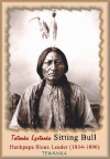 Sitting Bull.jpg (19833 Byte)